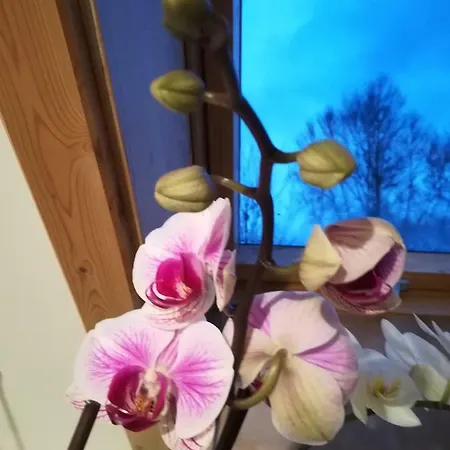 Neumuehleweg 19 * Lauperswil