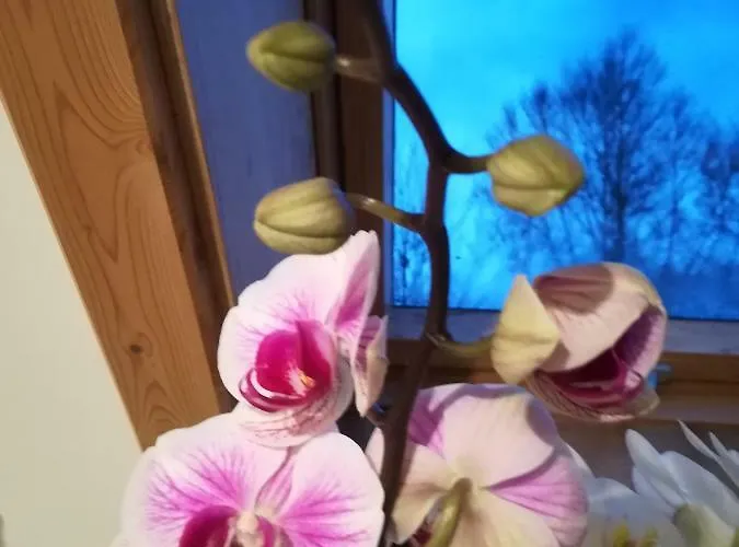 Neumuehleweg 19 * Lauperswil